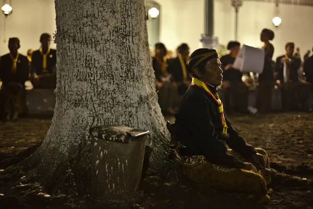 A Javanese man sits at the base of a tree awaiting rituals night carnival “1st Suro” ( Javanese calender) during  Islamic New Year celebrations at Kasunanan Palace on November 14, 2012 in Solo City, Central Java, Indonesia. Javanese will celebrate the national holiday with ceremonies and rituals marking the 1434th Islamic New Year's Eve or “1st Suro”. The parade started from Keraton Kasunanan and is headed by a group of albino buffaloes, known as Kebo Bule. Local people believe that the parade of Heirlooms and Kebo Bule will bring them a better life. (Photo by Ulet Ifansasti)