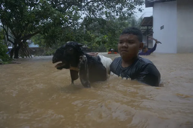 A man carries a goat to safety during a flood in Pacitan, East Java, Indonesia, Tuesday, November 28, 2017. Rain-triggered landslides and floods have killed a number of villagers on Indonesia's main island of Java, an official said Tuesday. (Photo by Agus Salim/AP Photo)