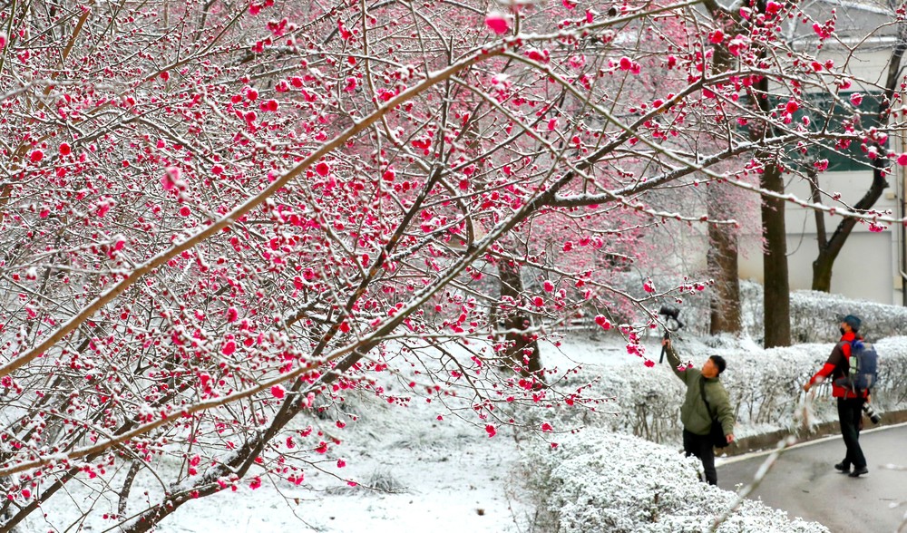 A Look at Life in South Korea