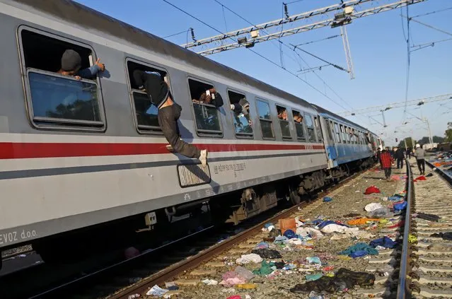 A migrant jumps through a train window at the railway station in Tovarnik, Croatia September 21, 2015. (Photo by Antonio Bronic/Reuters)