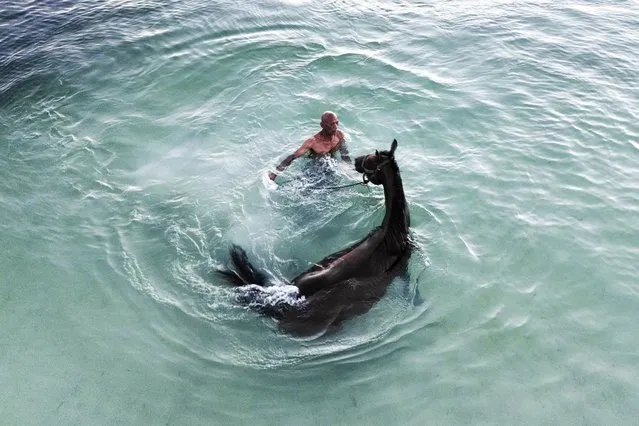 Denis Hooker trains his race horse named Pereque in the sea near the shore of San Andres Island in Colombia, Friday, November 11, 2022. The 69-year-old uses traditional training methods and is considered an icon in thoroughbred horse training on the island where his horses have won numerous races. (Photo by Ivan Valencia/AP Photo)