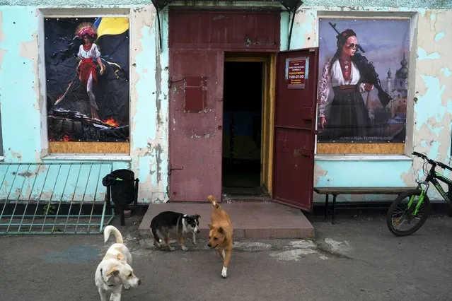 Dogs stand at the entrance of a coffee shop decorated with posters depicting Ukrainian women holding weapons at the village of Velyka Kostromka, in Dnipropetrovsk region, Ukraine, Thursday, October 13, 2022. (Photo by Leo Correa/AP Photo)