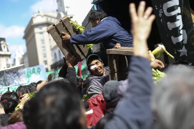 Members of farmers' unions demonstrate by donating close to 20,000 kilos of vegetables to people during a protest in front of the Government Palace in Buenos Aires, Argentina, 14 September 2016. The farmers donated the food to protest against economic measures introduced by the government of Mauricio Macri. (Photo by David Fernandez/EPA)