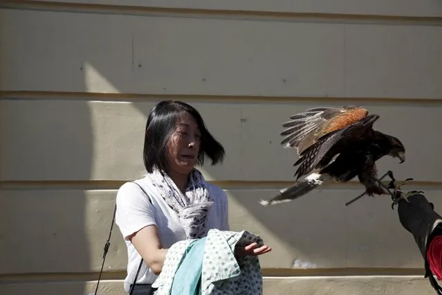 A woman reacts as an eagle flies back to its trainer during the annual Cervantes market (Mercado Cervantino) in the hometown of famous Spanish writer Miguel de Cervantes, Alcala de Henares, Spain, October 9, 2015. (Photo by Susana Vera/Reuters)