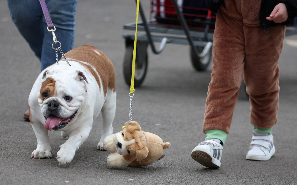 Pictures of the Year 2024, Part 065/240