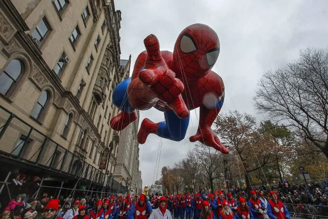 The Spiderman balloon floats down Central Park West during the 88th Macy's Thanksgiving Day Parade in New York November 27, 2014. (Photo by Eduardo Munoz/Reuters)
