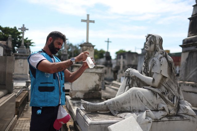 A health worker releases mosquitoes infected with the Wolbachia bacteria, which are expected to block the spread of dengue fever, in Sao Francisco Xavier cemetery in Rio de Janeiro, Brazil on April 2, 2024. (Photo by Pilar Olivares/Reuters)