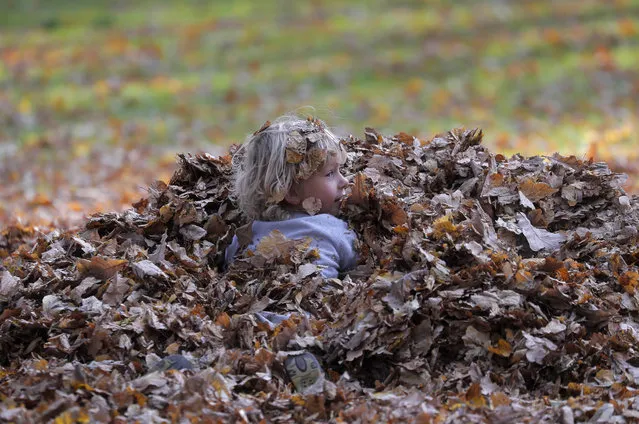 A boy plays with autumn leaves at the Ostafyevo park set in autumnal colors, Moscow, Russia, 02 October 2020. (Photo by Maxim Shipenkov/EPA/EFE)