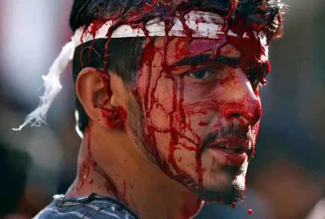 A Kashmiri Shi'ite Muslim bleeds after he flagellated himself during a Muharram procession to mark Ashura in Srinagar, India October 12, 2016. (Photo by Danish Ismail/Reuters)