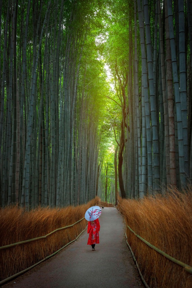 People in the Landscape