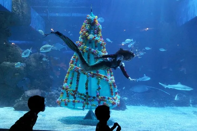 Visitors watch as a diver swims past a Christmas tree at the Jakarta aquarium in Jakarta on December 24, 2020. (Photo by Dasril Roszandi/AFP Photo)