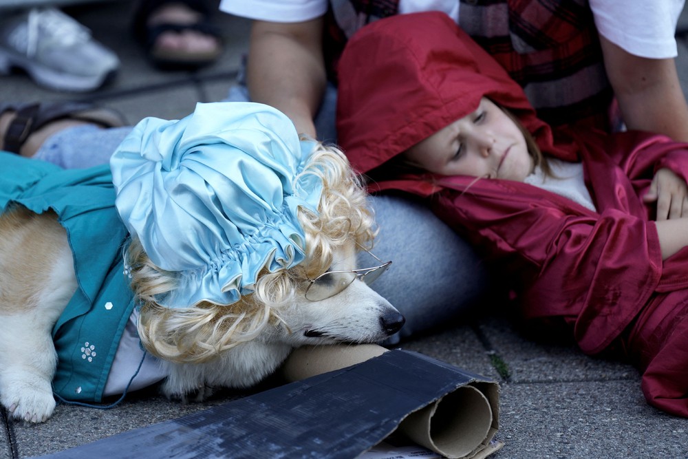 Pictures of the Year 2024, Part 166-240