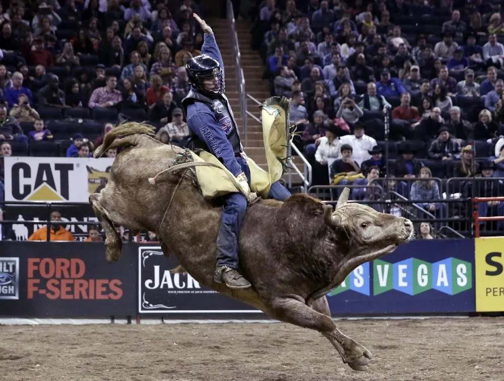 The Professional Bull Riders Buck Off