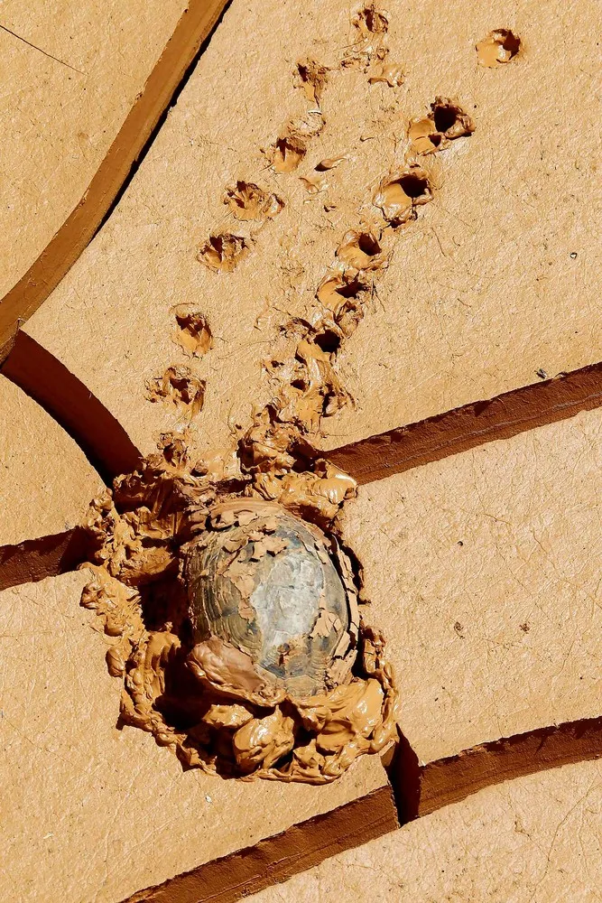 The Week in Pictures: Animals, July 27 – August 2, 2013 (30 Photos)