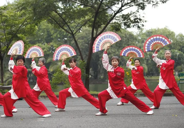 Thai seniors, members of Sieng Leng Tai Chi Lumpini Club perform Tai Chi exercise at the Lumpini park in Bangkok, Thailand, 11 July 2023. Thailand is one of the world's fastest-aging societies with more than 12 million elderly Thais of its 67 million population, the majority of them are aged 60-69, according to the Ministry of Social Development and Human Security's Department of Older Persons. World Population Day is observed annually on 11 July. (Photo by Rungroj Yongrit/EPA/EFE)