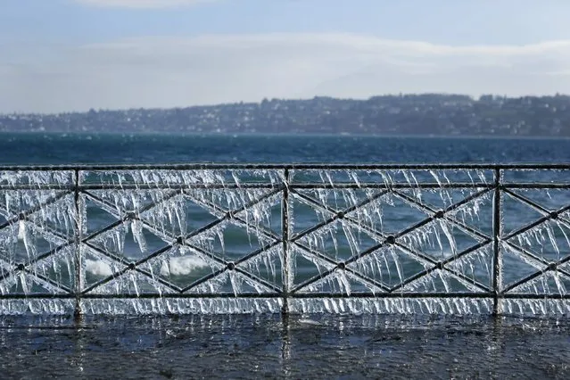A frozen fence is seen by the lake side due to the strong wind conditions in Geneva February 8, 2015. (Photo by Pierre Albouy/Reuters)