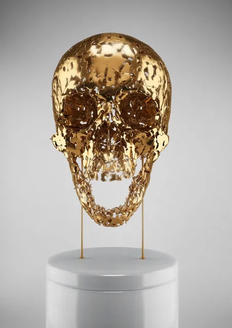 Skullptures by Hedi Xandt