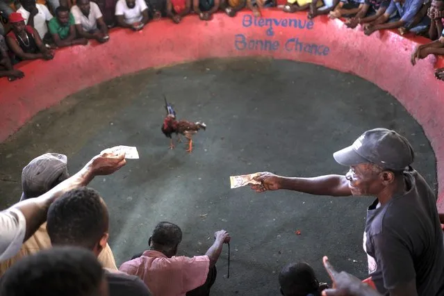 People gamble money during a roosters fight at the “Anbalakay kay kano” cockfighting club in the Bwa Moket neighborhood of Port-au-Prince, Haiti, Sunday, July 18, 2021. Cockfighting  offers winners about $150 dollars per fight. (Photo by Matias Delacroix/AP Photo)