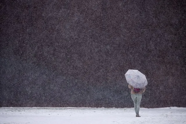 A person walks along a street during a snowfall in Berlin, Germany on November 29, 2023. (Photo by Lisi Niesner/Reuters)