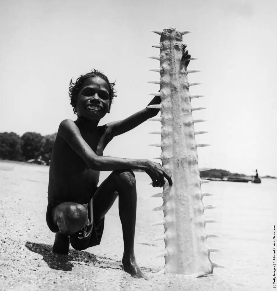 [Oldies] Australian Aborigines