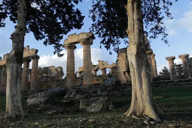 A view shows the ancient ruins of the Greek and Roman city of Cyrene in present day Shahhat, Libya January 8, 2016. (Photo by Esam Omran Al-Fetori/Reuters)