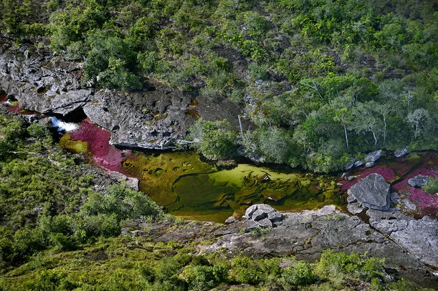 An overhead view of the Cano Cristales RIver in the Sierra de la Macarena in Colombia. (Photo by Olivier Grunewald)