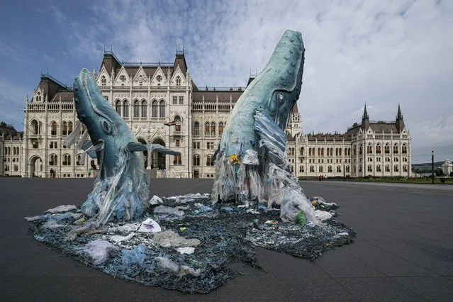 Whale sculptures made from plastic waste that was recovered from the ocean are on display at the parliament building in Budapest, Hungary, Tuesday, July 9, 2019. The temporary installation was erected by Greenpeace as part of the international environmental movement Plastic Free July to protest against polluting the world's oceans with plastic. (Photo by Zsolt Szigetvary/MTI via AP Photo)