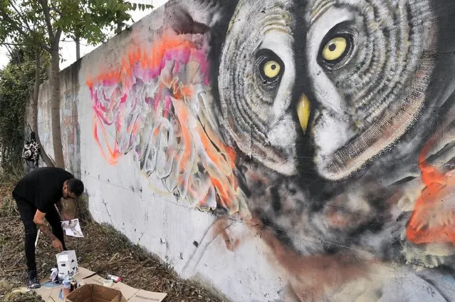 Brazilian artist Luis Seven Martins aka L7m works on a graffiti in Rome, Italy, 29 April 2016. The street artist created urban paintings of birds on the walls of three neighborhoods of Rome. (Photo by Martino Iannone/EPA)