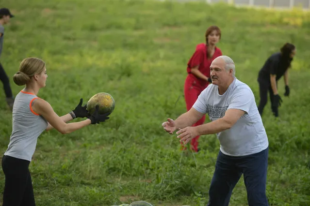 Belarus' President Alexander Lukashenko takes part in harvesting watermelons at his garden on the outskirts of Minsk, Belarus on August 29, 2019. (Photo by Andrei Stasevich/BelTA/Handout via Reuters)