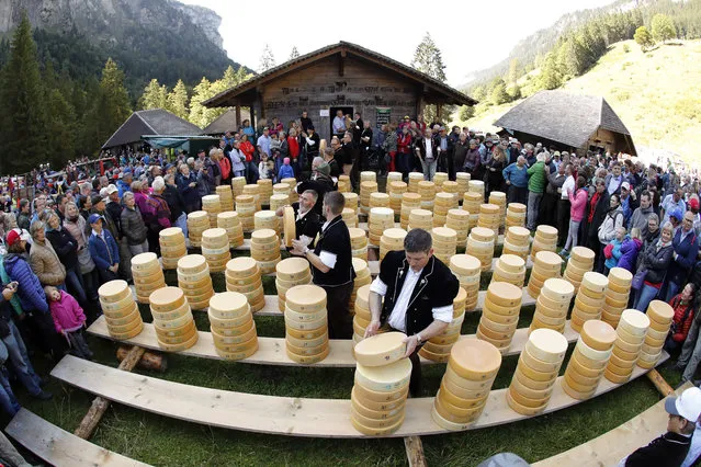 Farmers pile up pieces of cheese during the traditional “Chaesteilet” (Cheese allocation) in Justistal, 40kms south of Bern, Switzerland on September 20, 2019. Every year in September the farmers of the Justistal gather together when the cows come down from the summer mountain pastures and share the cheese in proportion to their cows' milk production. (Photo by Stefan Wermuth/AFP Photo)