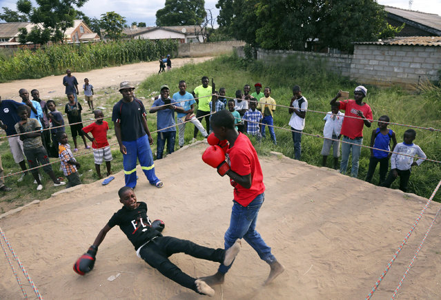 In this Saturday, February 12, 2017 photo, a young boy is knocked out during a boxing match in Chitungwiza, about 30 kilometres south east of Harare, Zimbabwe. Zimbabwean boys as young as 10 hurry every weekend to a boxing ring whose nickname, Wafa Wafa, in the local Shona language suggests that whoever enters will be lucky to come out alive. No one has died in the ring, let alone suffered serious injury. But the exchanges can be brutal and bleeding is part of the game in this impoverished township 18 miles (30 kilometers) outside the capital, Harare. In Zimbabwe, where unemployment is rife and many youths are taking to drugs and alcohol, a former boxing champion hopes the pain in the makeshift ring will make for some gains. “We are teaching them discipline through boxing. They are less prone to do drugs once they are committed to this regime”, said Arigoma Chiponda, a former light heavyweight local champion who now runs a gym and encourages youths to take up boxing, even though the prospects of going professional are slim. (Photo by Tsvangirayi Mukwazhi/AP Photo)