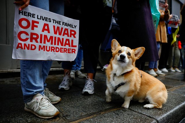 A dog sits next to a placard reading “Here lives the family of a war criminal and murderer” during a protest held outside the home of Svetlana Maniovich, the wife of the Russian Deputy Minister of Defence, to call upon French authorities to expel her, in Paris, France on April 23, 2023. (Photo by Sarah Meyssonnier/Reuters)