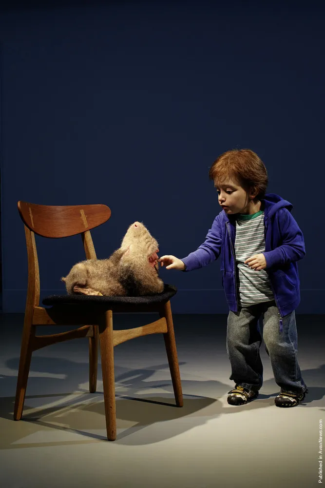 Sculptures by Patricia Piccinini