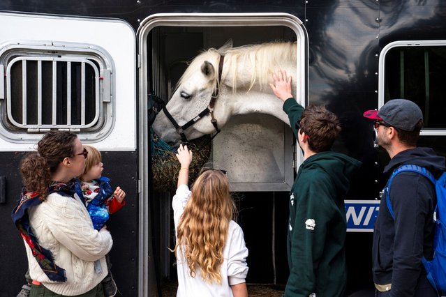 Pedestrians react to a U.S. Park Police horse on the National Mall in Washington, U.S., October 16, 2024. (Photo by Nathan Howard/Reuters)