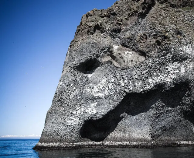 Elephant Rock, Heimaey, Iceland