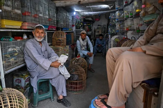 Bird vendors wait for customers in the Ka Faroshi bird market in Kabul on July 16, 2022. (Photo by Lillian Suwanrumpha/AFP Photo)