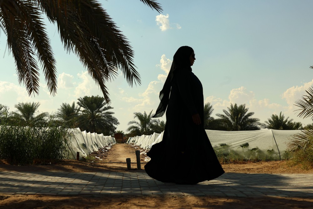 Some Photos: Silhouettes