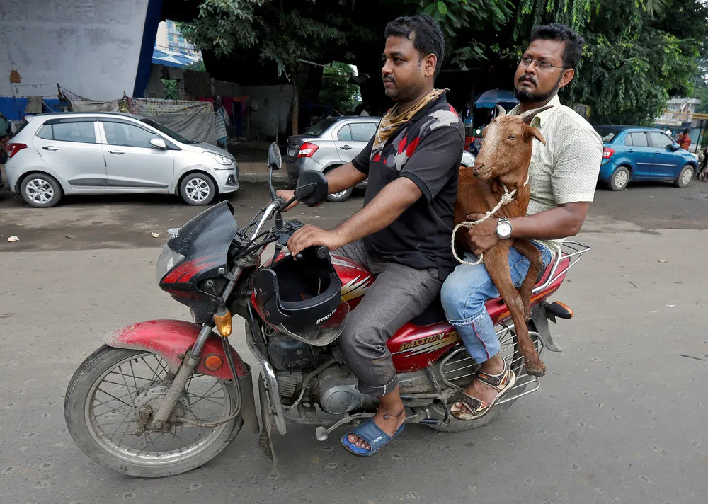 A Look at Life in India