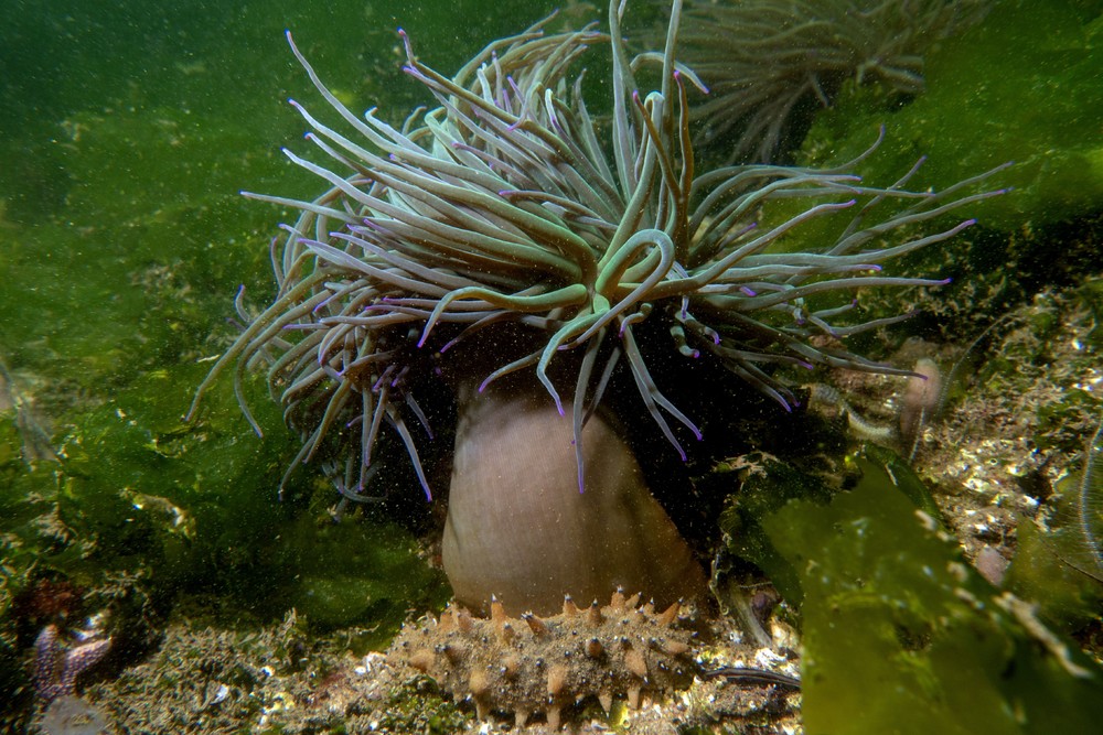 Some Photos: Waterworld