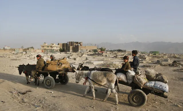 Afghan child vendors carry the goods on donkeys in the outskirt of Kabul, Afghanistan, 08 October 2017. Everyday from the morning until evening they search the garbage and take the useful parts and sell to make between three and four US dollars. (Photo by Jawad Jalali/EPA/EFE)