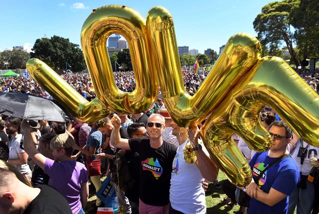 Supporters of the same-s*x marriage “Yes” vote gather to celebrate the announcement in a Sydney park on November 15, 2017. Australians voted in favour of allowing same-s*x couples to marry, official results showed on November 15, sending the task of legalising marriage equality to a deeply divided parliament. (Photo by William West/AFP Photo)