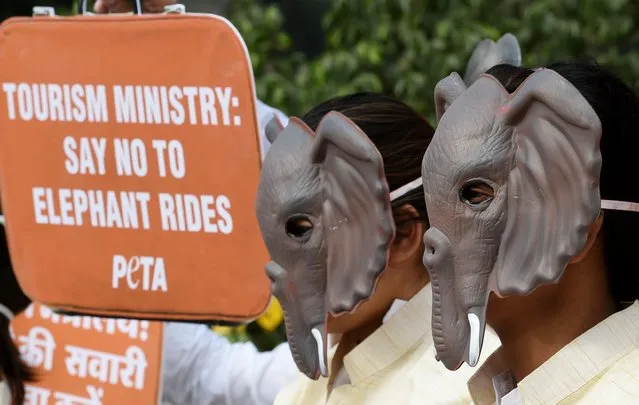 Indian volunteers for animal rights group People for the Ethical Treatment of Animal (PETA) pose for a photograph wearing elephant masks during a demonstration in New Delhi on December 6, 2017. PETA is calling on the Ministry of Tourism of India for an end to elephants rides. (Photo by Money Sharma/AFP Photo)