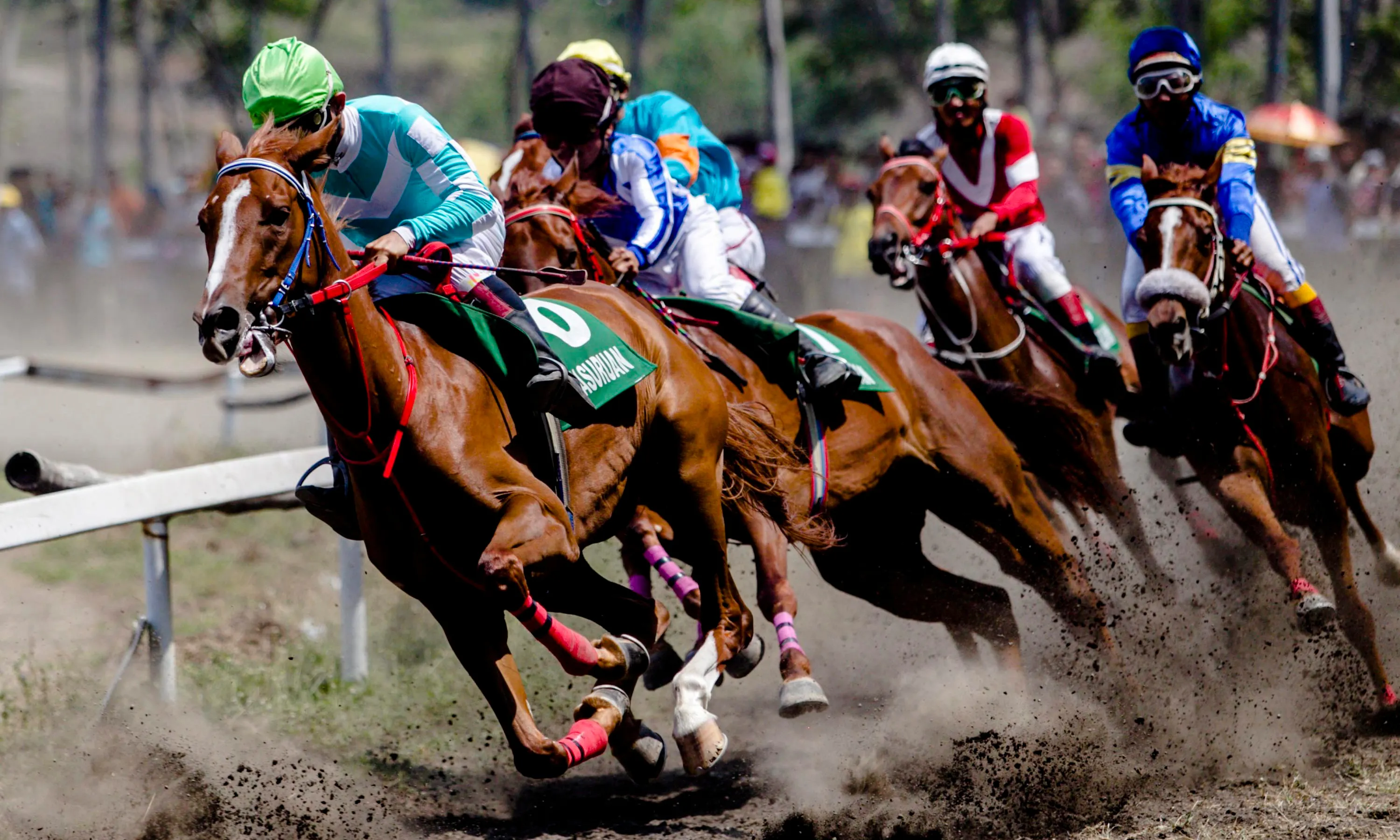 Race Horse Syndication