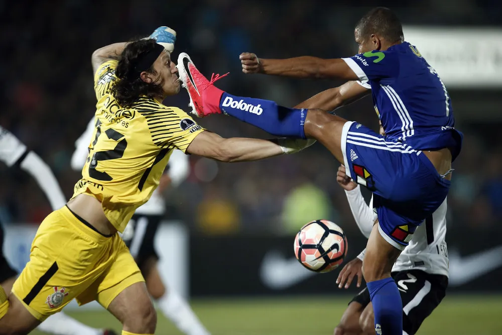 Associated Press Pictures of the Year 2017, Part 3/3