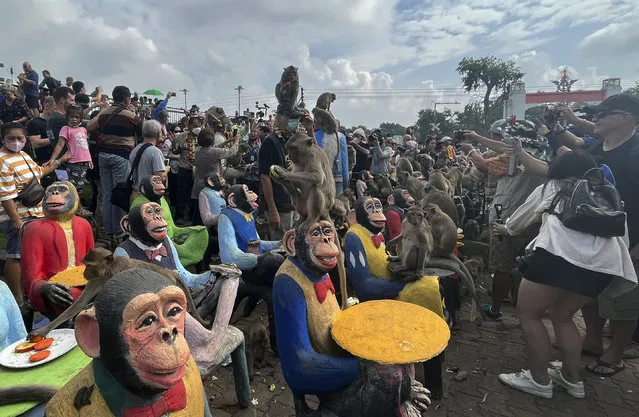 Monkeys enjoy fruit during monkey feast festival in Lopburi province, Thailand. Sunday, November 27, 2022. The festival is an annual tradition in Lopburi, which is held as a way to show gratitude to the monkeys for bringing in tourism. (Photo by Chalida EKvitthayavechnukul/AP Photo)