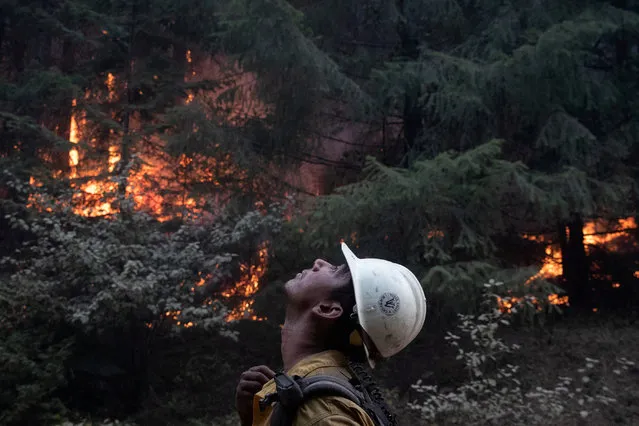 Johnny Islas, a firefighter from Las Vegas, monitors ambers from a firing operation near the Obenchain Fire in Butte Falls, Oregon, U.S., September 15, 2020. (Photo by Adrees Latif/Reuters)