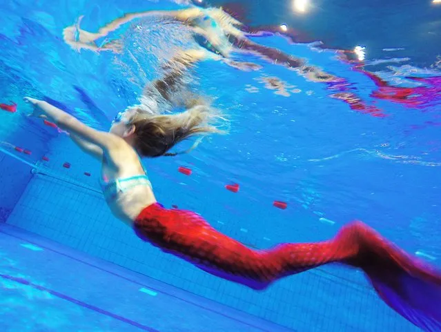 In this picture taken with a long time exposure a child swims during the German Championships in Mermaid swimming in the Ottilienbad in Suhl, Germany, Saturday, September 24, 2016. Participants dressed in mermaid costumes swim in different age classes over 50 and 100 meters distances. (Photo by Jens Meyer/AP Photo)