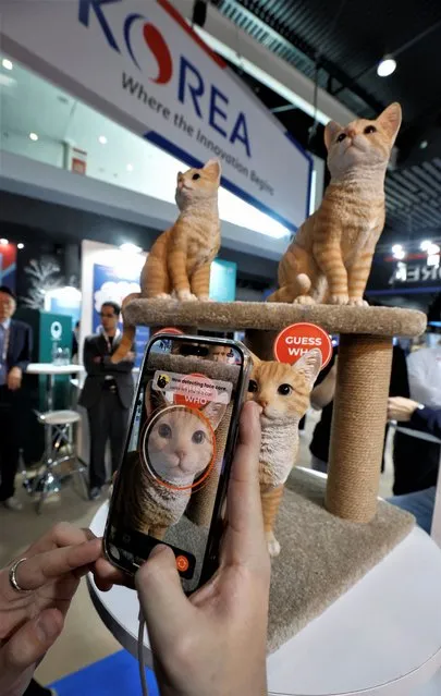 A facial recognition app for pets of PetNow is showed at GSMA's 2023 Mobile World Congress (MWC) in Barcelona, Spain on February 28, 2023. (Photo by Albert Gea/Reuters)
