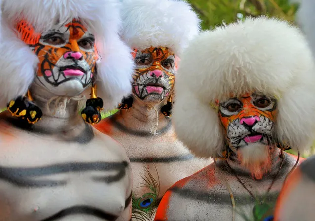 Men dressed as tigers wait to perform during celebrations to mark the Navratri festival, during which devotees worship the Hindu goddess Durga, in Mangaluru, India, October 10, 2016. (Photo by Abhishek N. Chinnappa/Reuters)