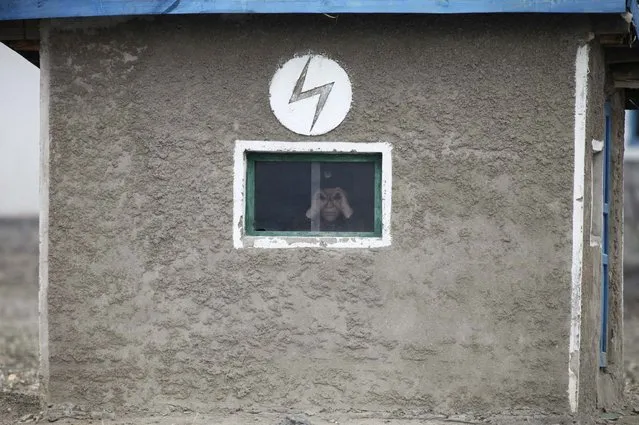 A North Korean soldier looks out of the window of a guard tower, on the banks of Yalu River, about 100 km (62 miles) from the North Korean town of Sinuiju, opposite the Chinese border city of Dandong, April 16, 2013. North Korea issued new threats against South Korea on Tuesday, vowing “sledge-hammer blows” of retaliation if South Korea did not apologise for anti-North Korean protests the previous day when the North was celebrating the birth of its founding leader. (Photo by Jacky Chen/Reuters)